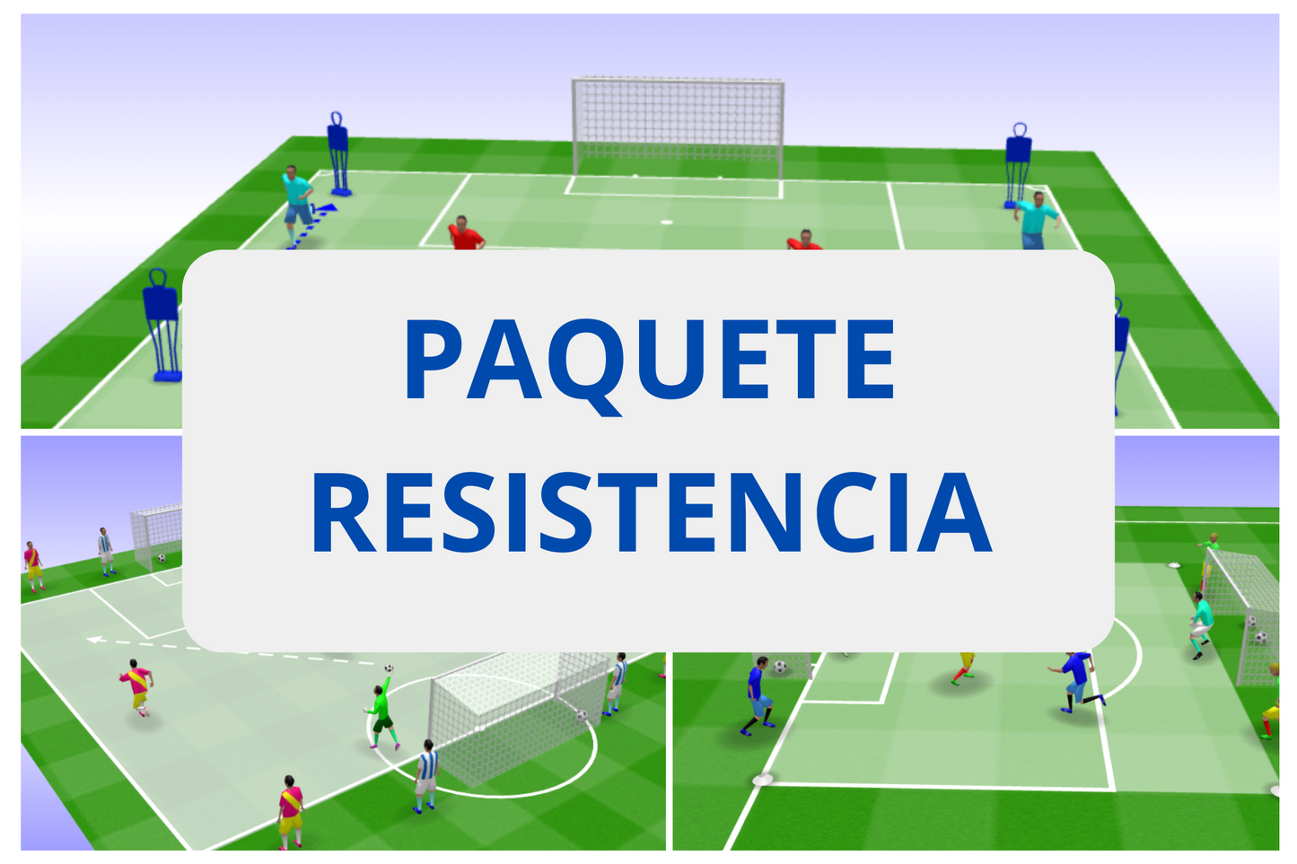PAQUETE RESISTENCIA (310 EJERCICIOS EN FORMATO PDF)